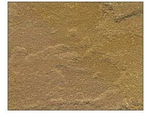 Modak Sandstone, India Brown Sandstone
