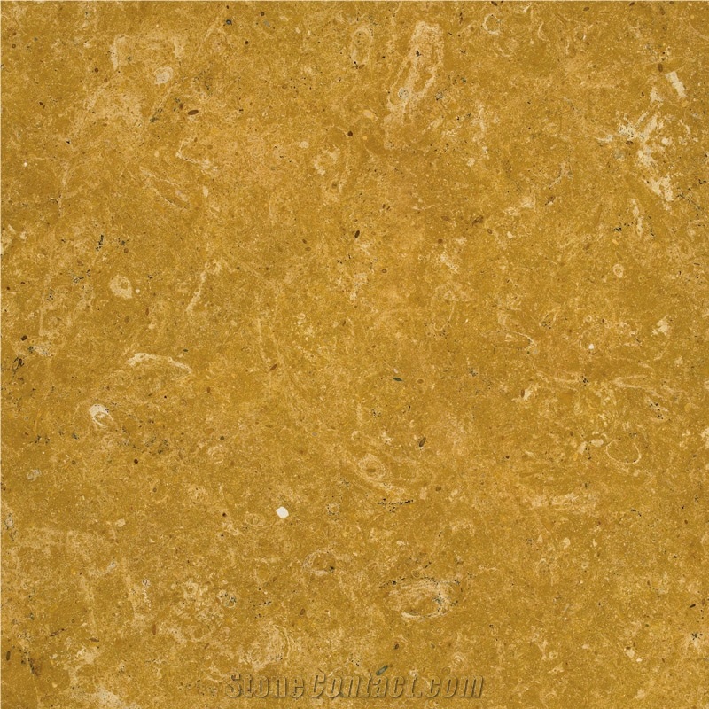 Inca Gold with Crema Marfil and Noir St. Laurent M, Inca Gold Limestone Tiles
