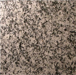 Serizzo Formazza Granite Slabs & Tiles