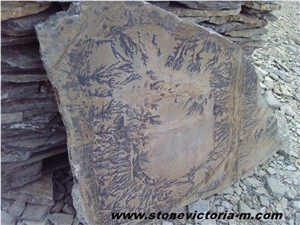 Fossil Stone, Brown Limestone Flagstone