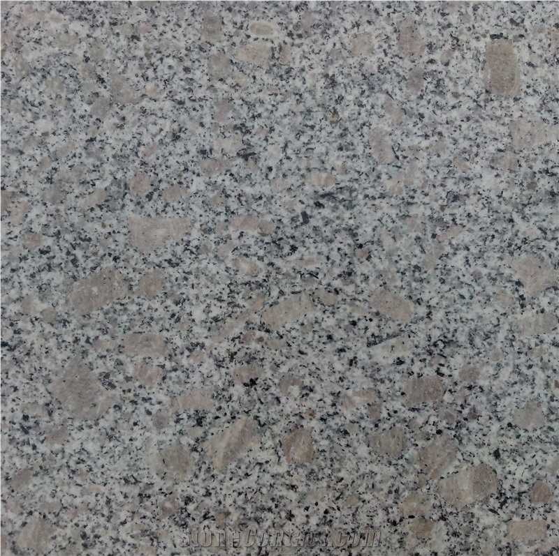 G383,Pearl Flower, G383 Granite Tiles