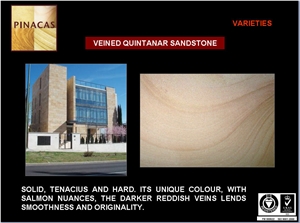 Veined Quintanar Beige Sandstone Facade