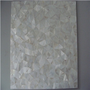 DL 020 Freshwater Shell TileIrregular Triangular S
