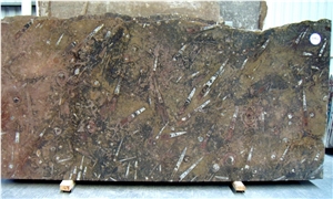 Fossil Brown Limestone Slabs, Morocco Brown Limestone