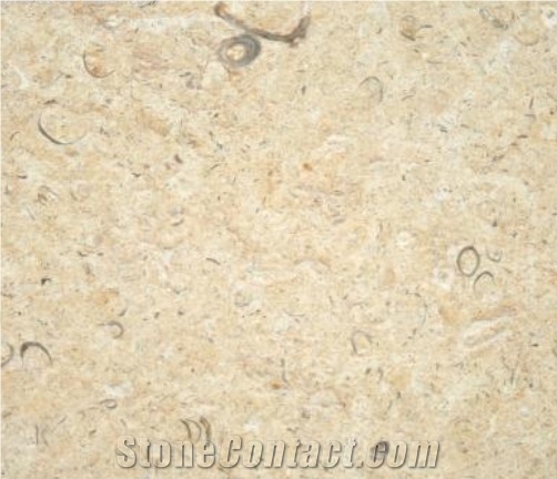 Jerusalem Shells Limestone Slabs & Tiles, Beige Polished Limestone Floor Tiles, Wall Tiles