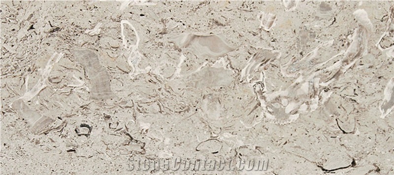 Aurisina Fiorita Limestone Tiles, Italy Beige Limestone
