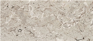 Aurisina Fiorita Limestone Tiles, Italy Beige Limestone