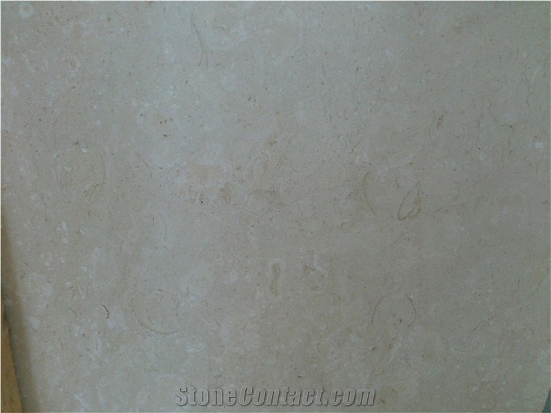 White Fossil Limestone Slabs & Tiles
