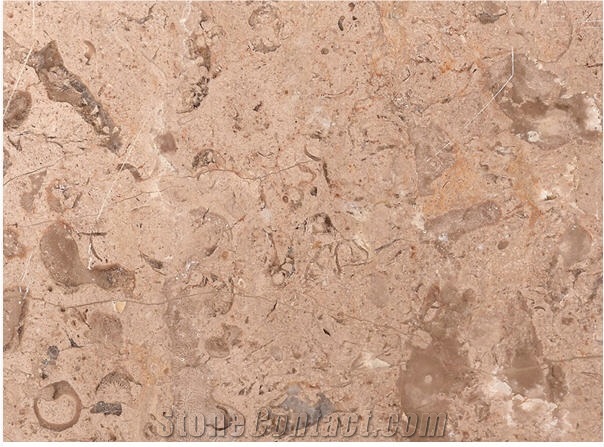Breccia Khatmia Limestone Tiles, Egypt Beige Limestone
