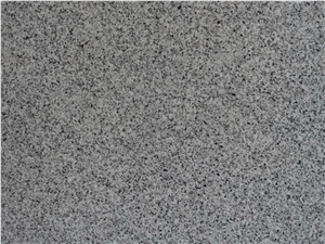 Grey G640 Granite Slabs