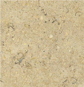 Triesta Limestone Slabs & Tiles, Egypt Beige Limestone