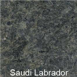 Saudi Labrador