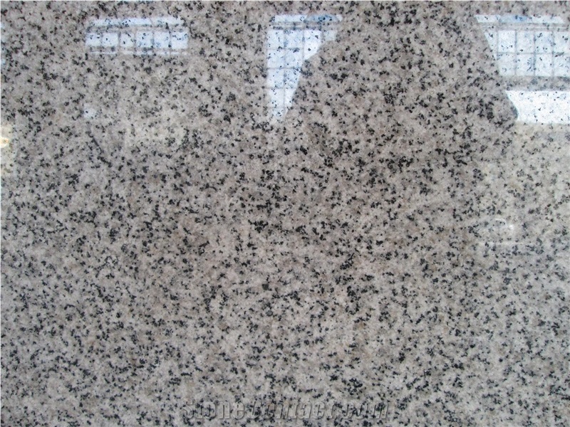 White Natanz Granite Slabs & Tiles