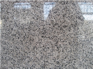 White Natanz Granite Slabs & Tiles