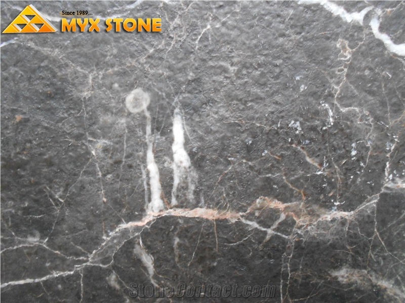 Portoro Gold Brown Marble Slab and Tile