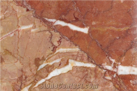 Breccia Pernice Limestone Slabs, Italy Red Limestone