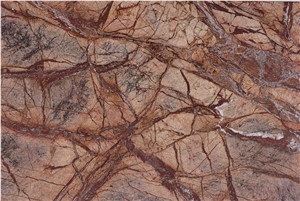 Rainforest Dark Brown Marble Tiles, India Brown Marble