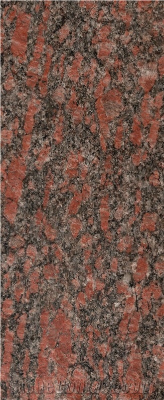 Tumkur Porphery Granite Block, India Red Granite