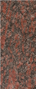 Tumkur Porphery Granite Block, India Red Granite