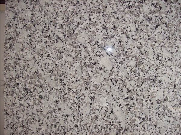 Bala Flower Granite Tile, China Grey Granite