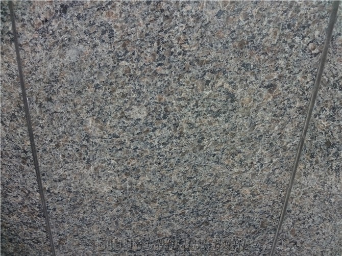 Caledonia Grey Granite Slabs, China Grey Granite