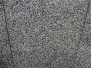 Caledonia Grey Granite Slabs, China Grey Granite