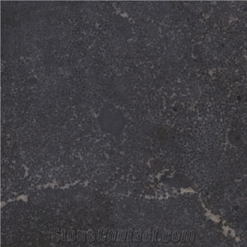 Manchu Caviar Limestone Tile, China Black Limestone