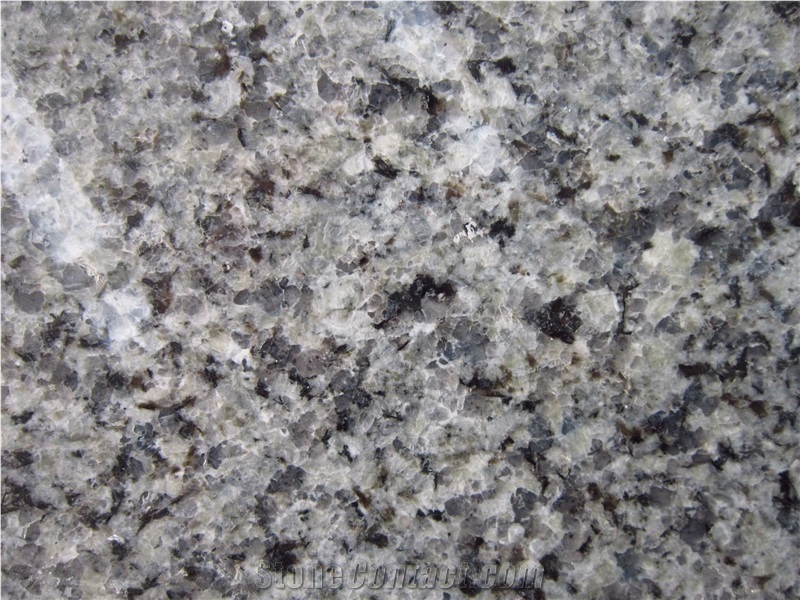  Azul Platino Granite Slabs Tiles Spain Blue Granite from 