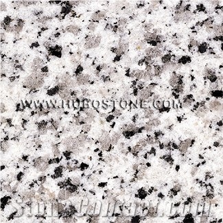 Dongshi White Granite Tiles, Dongshi White Granite