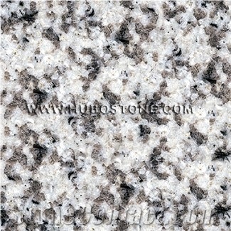 White Grain Granite Slabs, White Grain Granite Ti