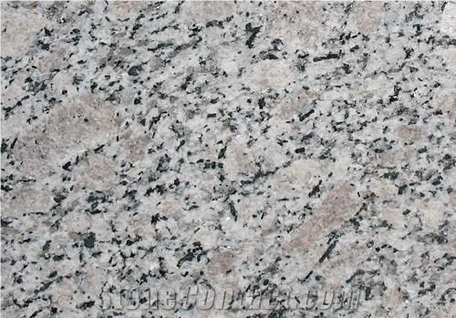 Black White Pearl Flower Granite Slabs & Tiles