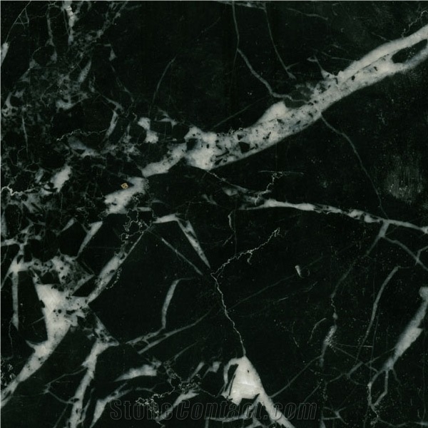 Chinese White Stripe in Black Marble