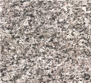 Classic Gray Granite, China Grey Granite Slabs & Tiles