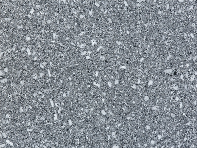 P Silver Granite Slabs, India Grey Granite