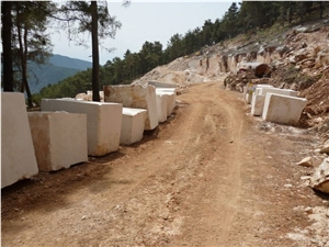 Arykanda Limestone Blocks, Turkey Beige Limestone