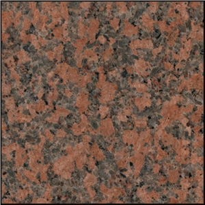 G562 Granite , Maple Red Granite Tiles