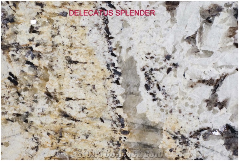 Delicatus Splendor Granite Slabs, Tiles