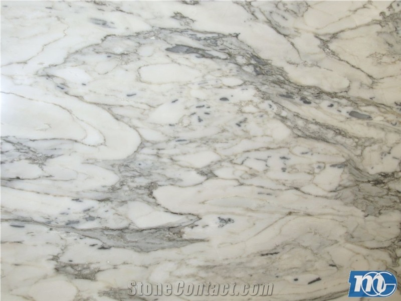 White Arabesque Marble Slabs from Italy - StoneContact.com