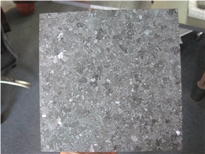 China Cambrian Black Granite Tiles