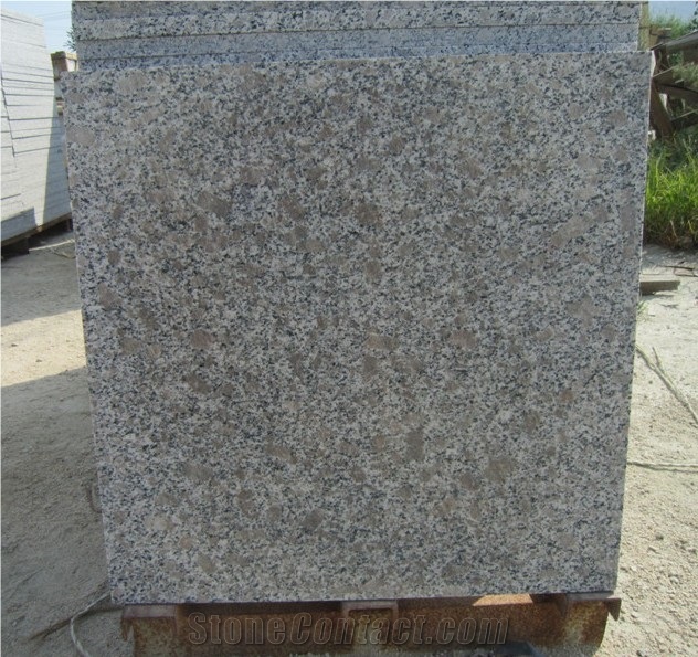 Pearl Flower G383 Granite Tile