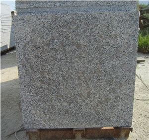 Pearl Flower G383 Granite Tile
