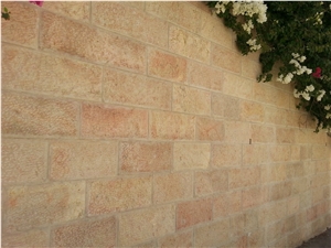 Jerusalem Red Limestone Tiles & Slabs for Wall Covering, Beige Israel Limestone