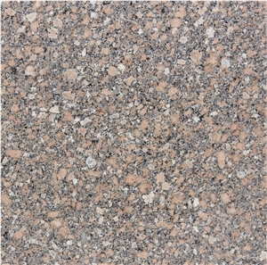 Gandonna Aswan Granite Tiles