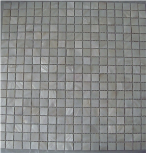 M100 10x10 Freshwater Shell