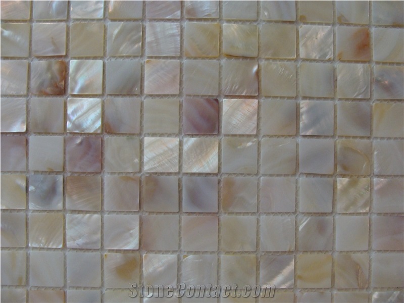 M105（25x25）freshwater Shell