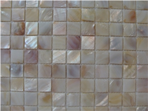 M105（25x25）freshwater Shell