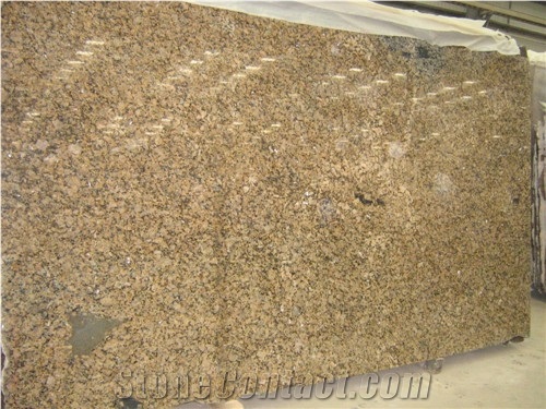 Giallo Vicenza Granite Slab from China 229735 