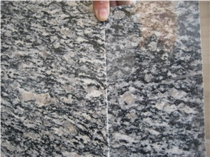 G377 Seawave Granite Tiles, China Black Granite