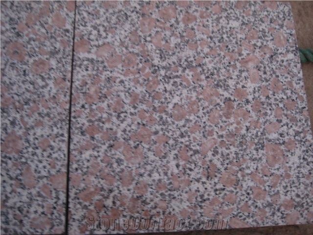 G384 Red Pearl Flower, China Red Granite Tiles