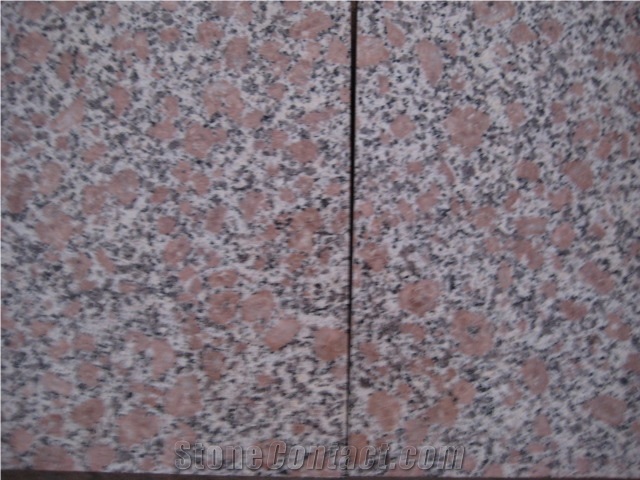 G384 Red Pearl Flower, China Red Granite Tiles
